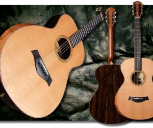 Taylor BTO Guitars