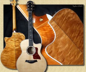 ❌SOLD❌ Taylor 616ce