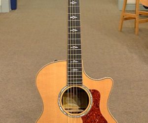 Taylor 814ce Ltd 2006 (Consignment) SOLD