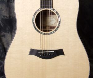 Taylor "Build to Order" Madagascar Dreadnought SOLD