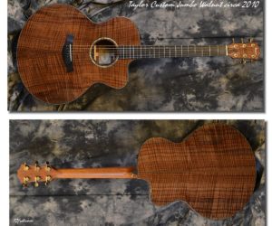 Taylor Custom Jumbo Walnut 2010 (Consignment) SOLD