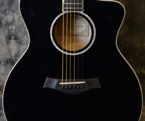 (Discontinued) Taylor Doyle Dykes DDX