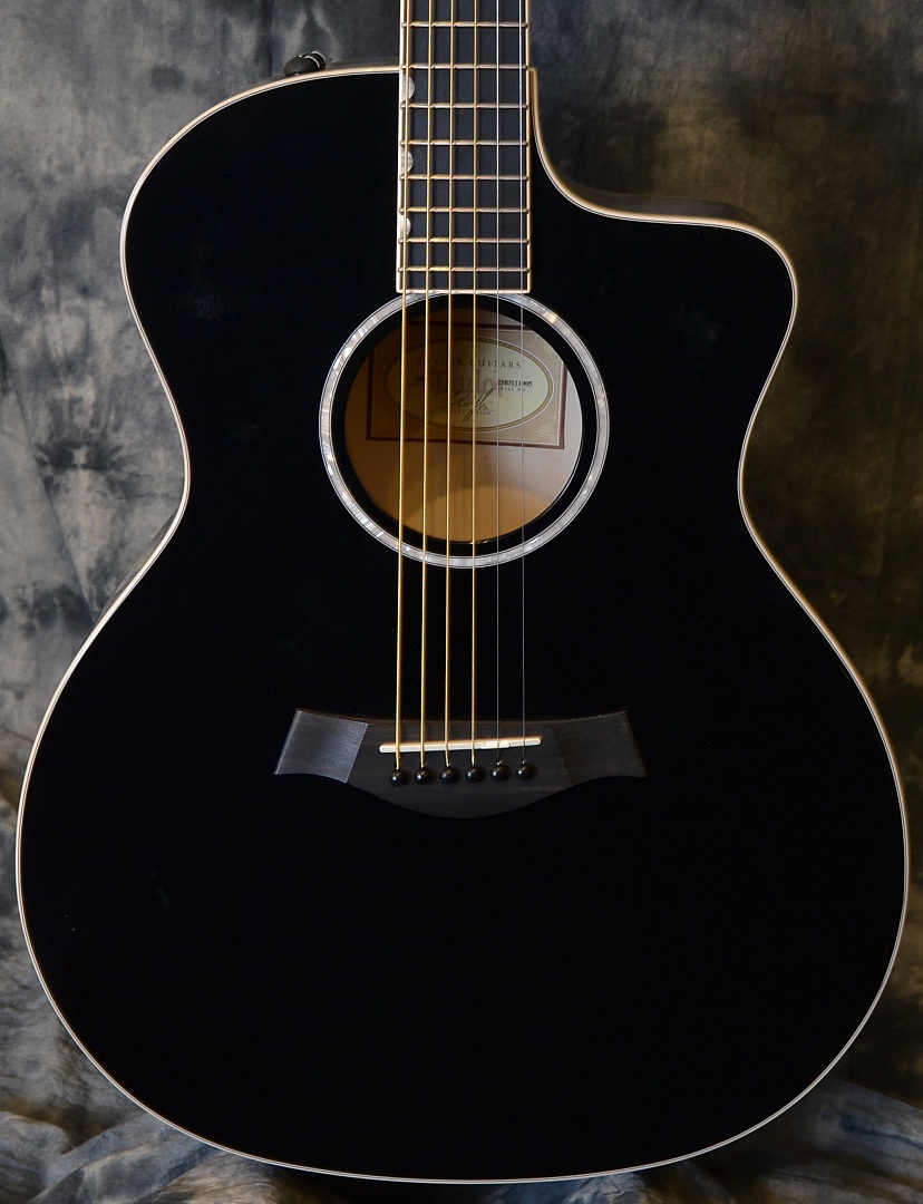 Taylor ddx acoustic guitar store