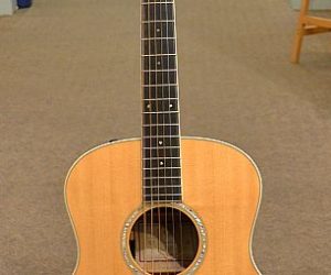 Taylor GS6E 2006 (Consignment) SOLD