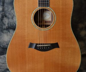 Taylor W-10 2001 (Consignment) SOLD