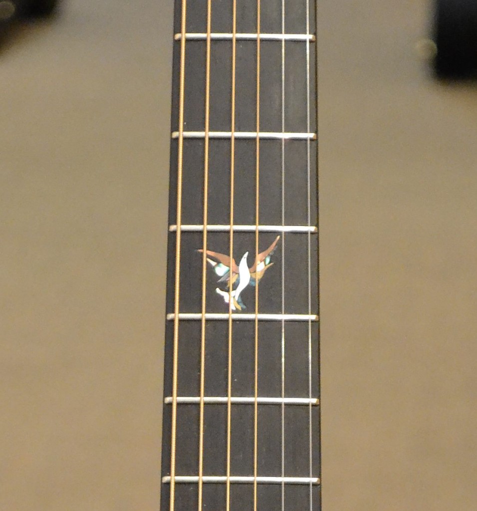 This Wren Concert Brazilian flat top is a simply stunning guitar! Sells for $4399.