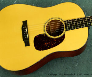 Collings DS-1A Adirondack 2008 (consignment) SOLD