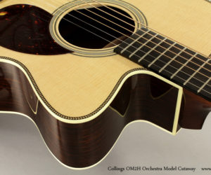 Collings OM2H Orchestra Model Cutaway