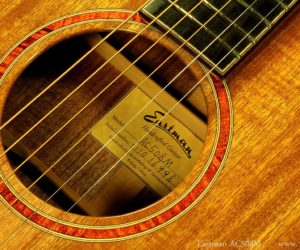 Eastman AC508M - No Longer available