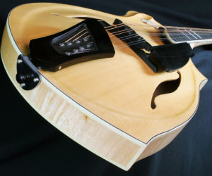 NO LONGER AVAILABLE! Eastman / Giacomel DG 1 Dawg Mandolin