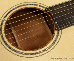 No Longer Available 2009 Galloup Hybrid Acoustic (consignment)