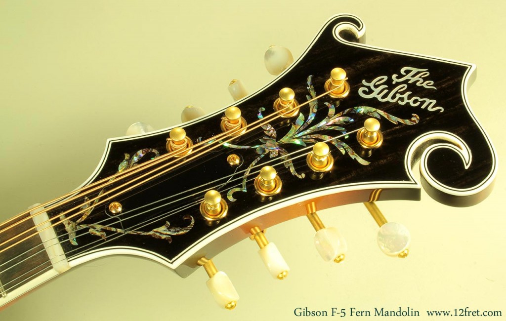 It's been some years since Gibson has produced mandolins.   This is the first F-5 Fern we have seen and it's a welcome sight.