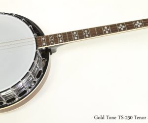 ❌SOLD❌  Gold Tone TS-250 Tenor Special Banjo