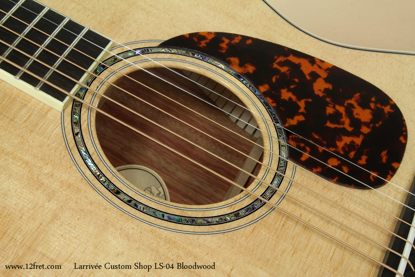The Larrivee Custom Shop LS-04 Bloodwood is a quietly spectacular guitar.   Not that it has a low volume - it doesn't - but while it's not exceptionally ornate, it's got a fabulous sound and tunes just fall out of it.