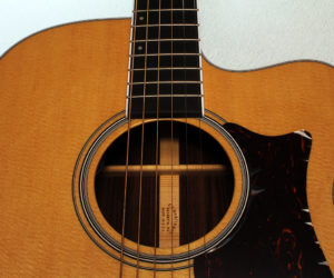 (Discontinued) Martin OMCPA3