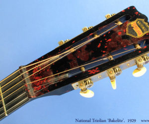 1929 Bakelite Neck National Triolian (consignment)  SOLD