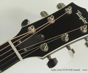 Taylor 514ce FLTD Fall Limited | Sold Out