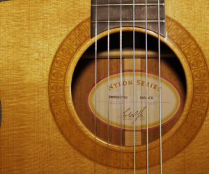 Taylor Cutaway Nylon Left Hand NS32-CE (consignment) SOLD