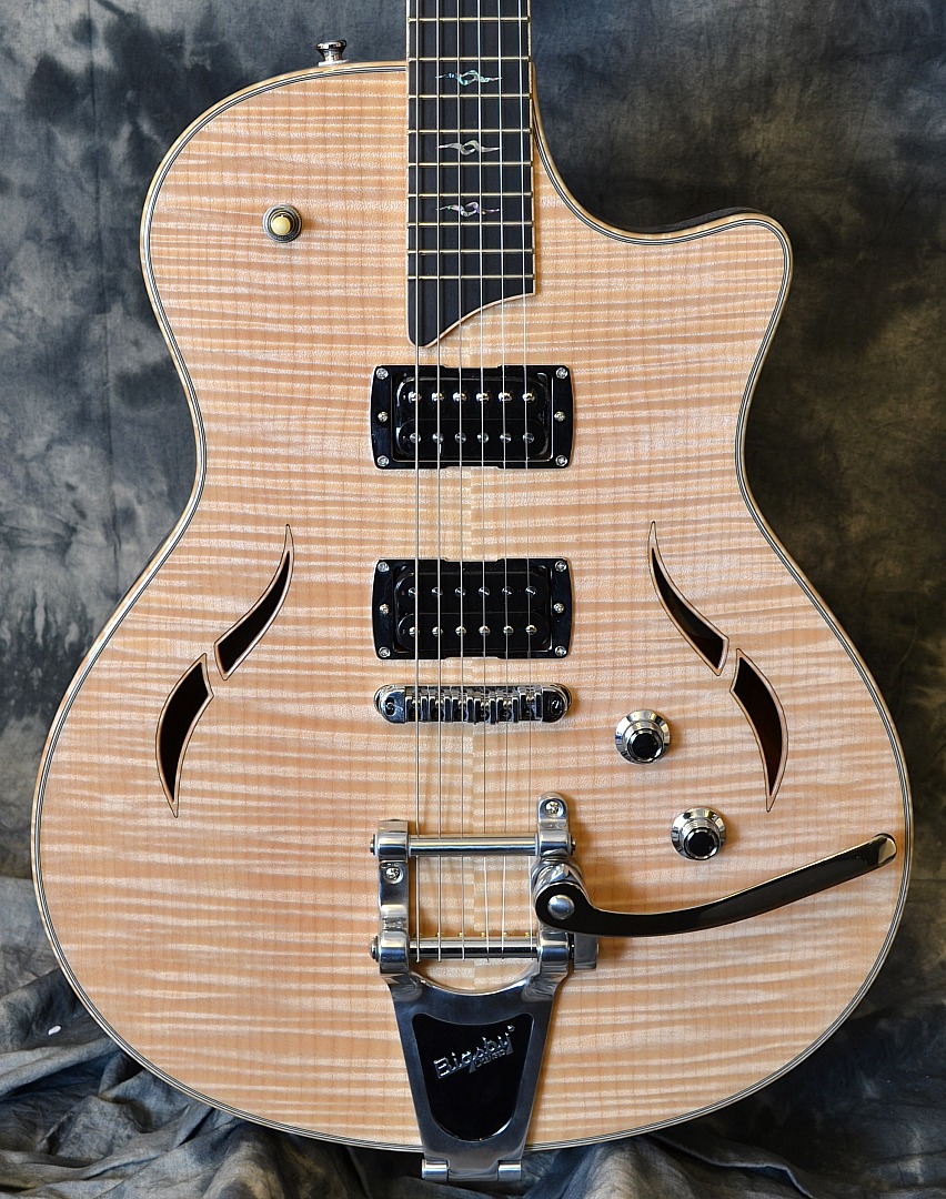 Taylor T3B www.12fret