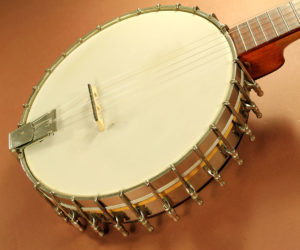 Vega Whyte Laydie Long-Neck Banjo  REDUCED