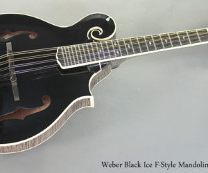 ❌SOLD❌ Weber Black Ice F-Style Mandolin