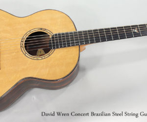 ❌SOLD❌   2010 David Wren Concert Brazilian Steel String Guitar